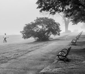 A black and white photo featuring a line of park benches along the right with a unicyclist on the left. They are surrounded by trees and a misty atmosphere.