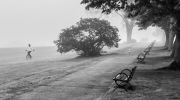 A black and white photo featuring a line of park benches along the right with a unicyclist on the left. They are surrounded by trees and a misty atmosphere.